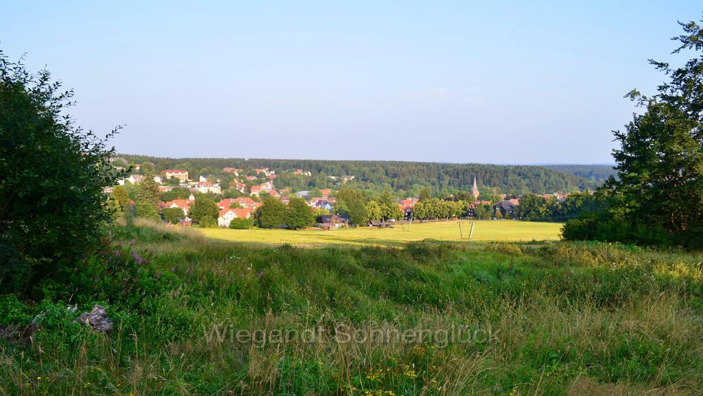 Apartament Sonnenglueck Mit Schwimmbad Braunlage Pokój zdjęcie