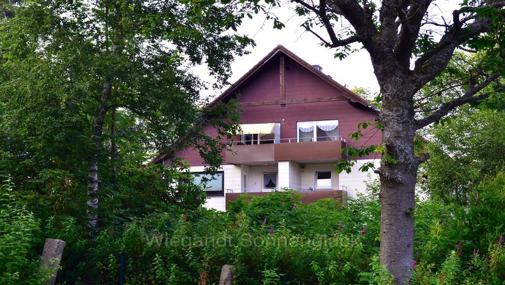 Apartament Sonnenglueck Mit Schwimmbad Braunlage Pokój zdjęcie